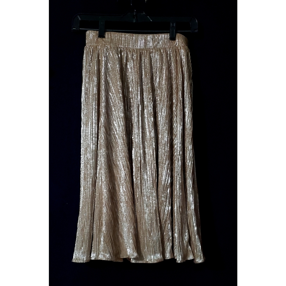 New york & Company skirt